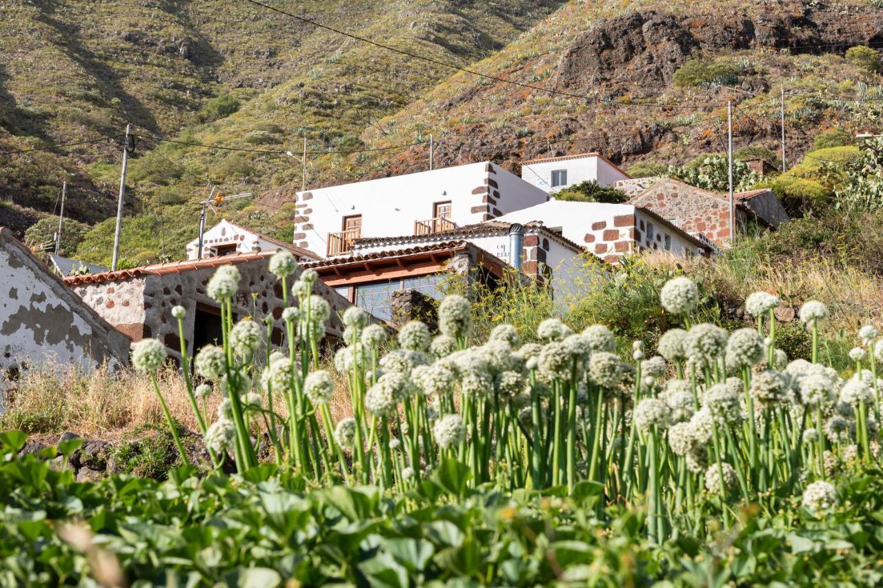 Chalet Home2book Nature Carrizales And Masca House & Wifi