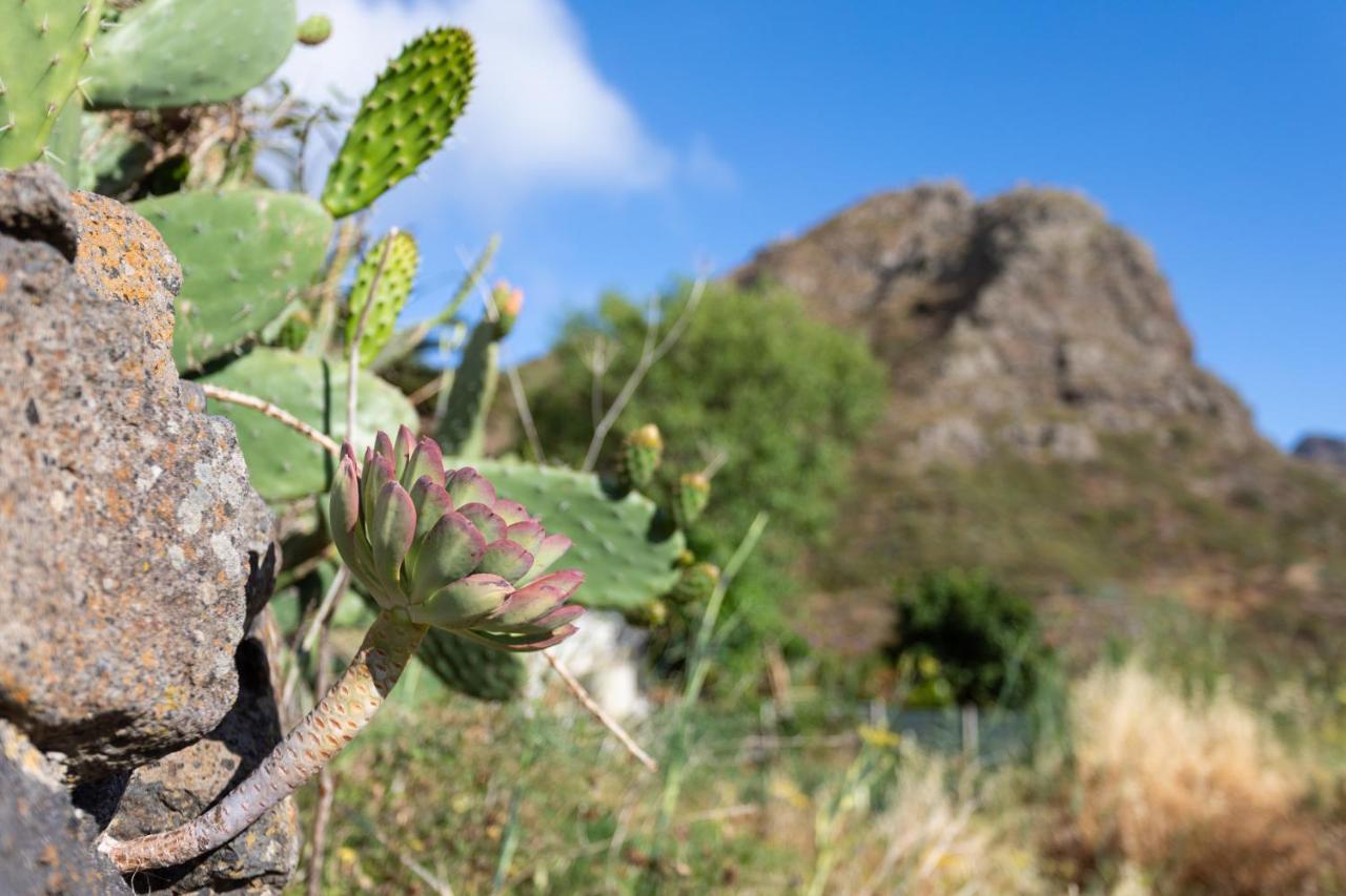 Home2book Nature Carrizales And Masca House & Wifi *