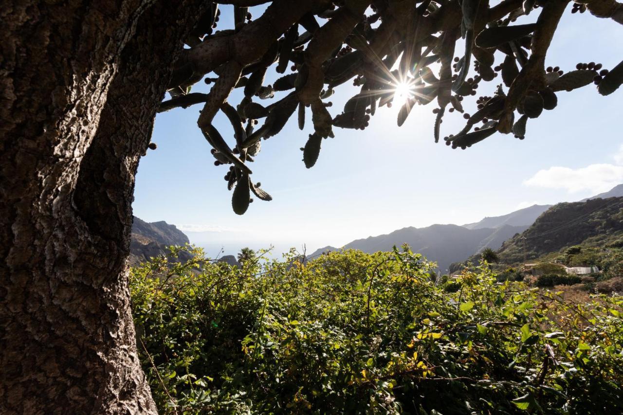 Home2book Nature Carrizales And Masca House & Wifi Buenavista Del Norte